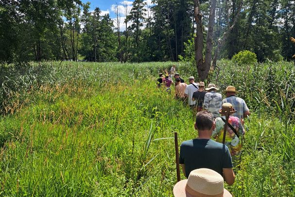 Auf geht's! Das Deusmauer Moor konnten die Besucher:innen von seiner nassen Seite kennen lernen; Foto: Johanna Saake